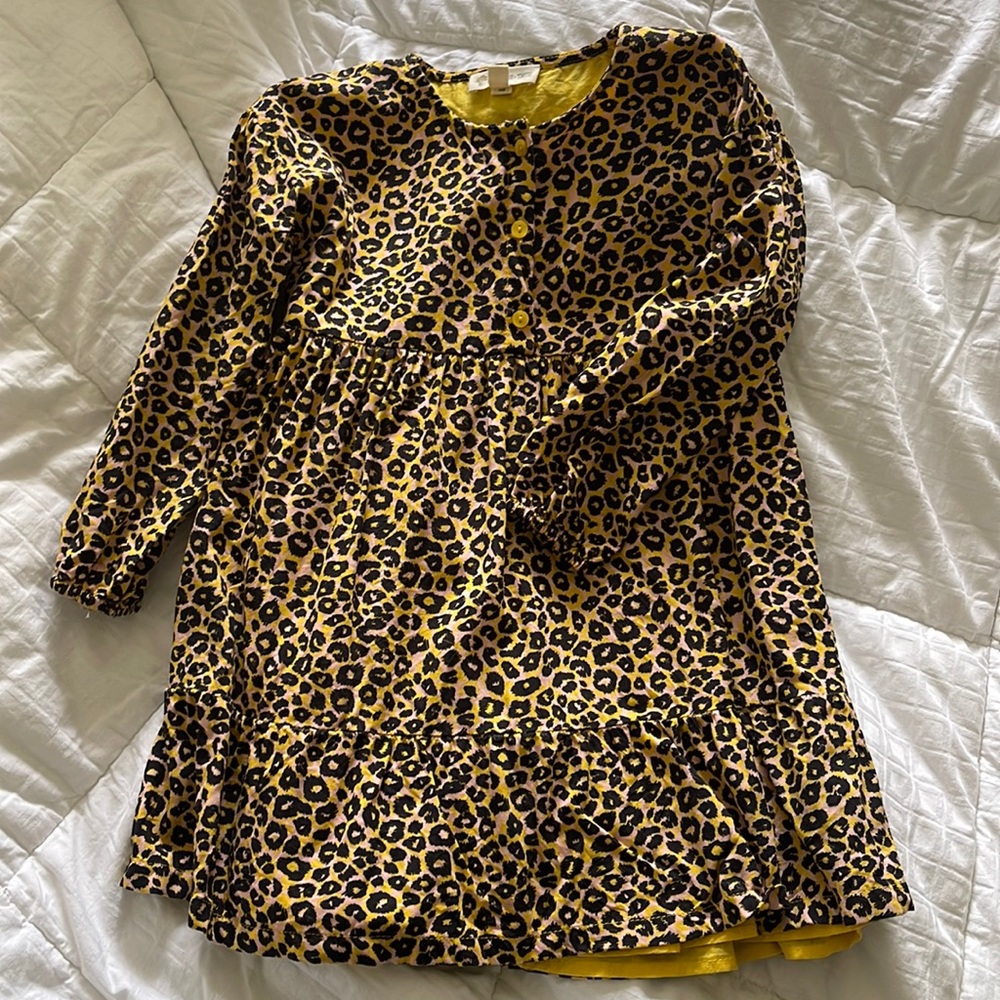 Tucker and ayate dress
